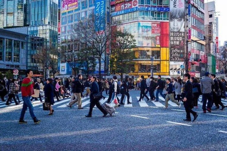 multi language wordpress website